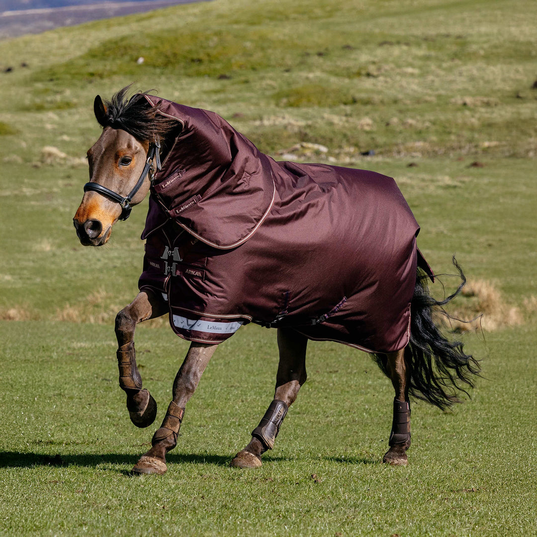 LeMieux Arika Ripstop 200g Turnout Rug - Bramble