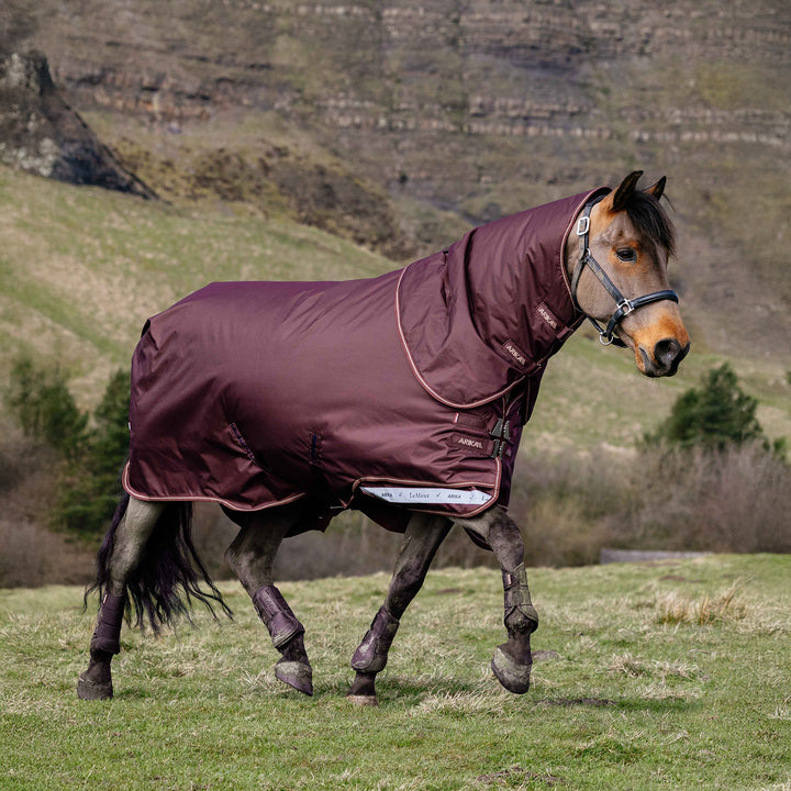 LeMieux Arika Ripstop 200g Turnout Rug - Bramble