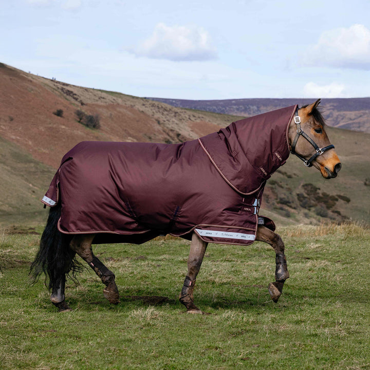 LeMieux Arika Ripstop 100g Turnout Rug - Bramble