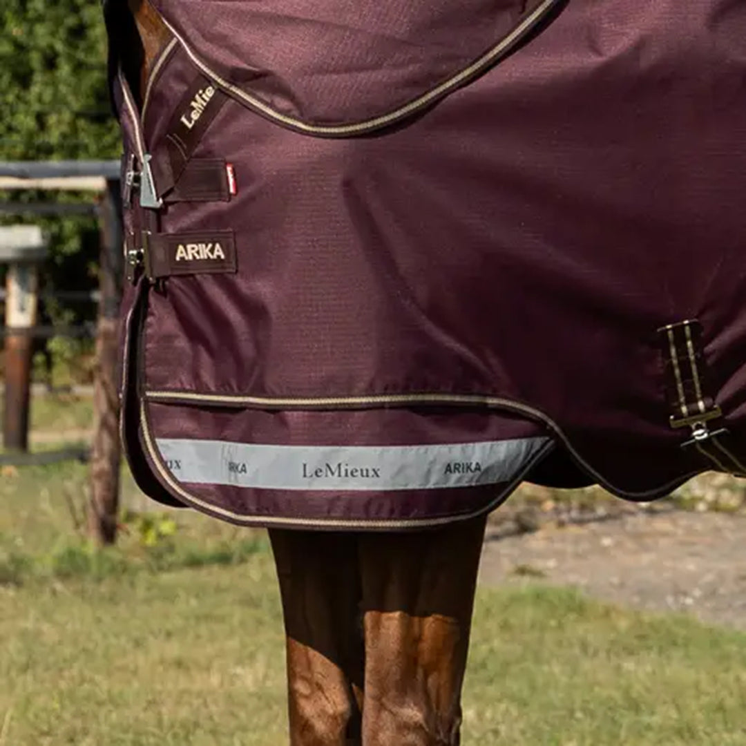 LeMieux Arika Ripstop 200g Turnout Rug - Bramble