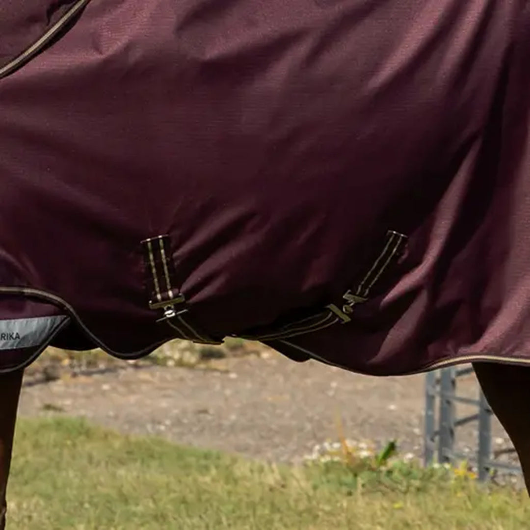 LeMieux Arika Ripstop 200g Turnout Rug - Bramble