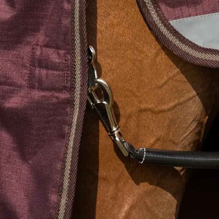 LeMieux Arika Ripstop 200g Turnout Rug - Bramble