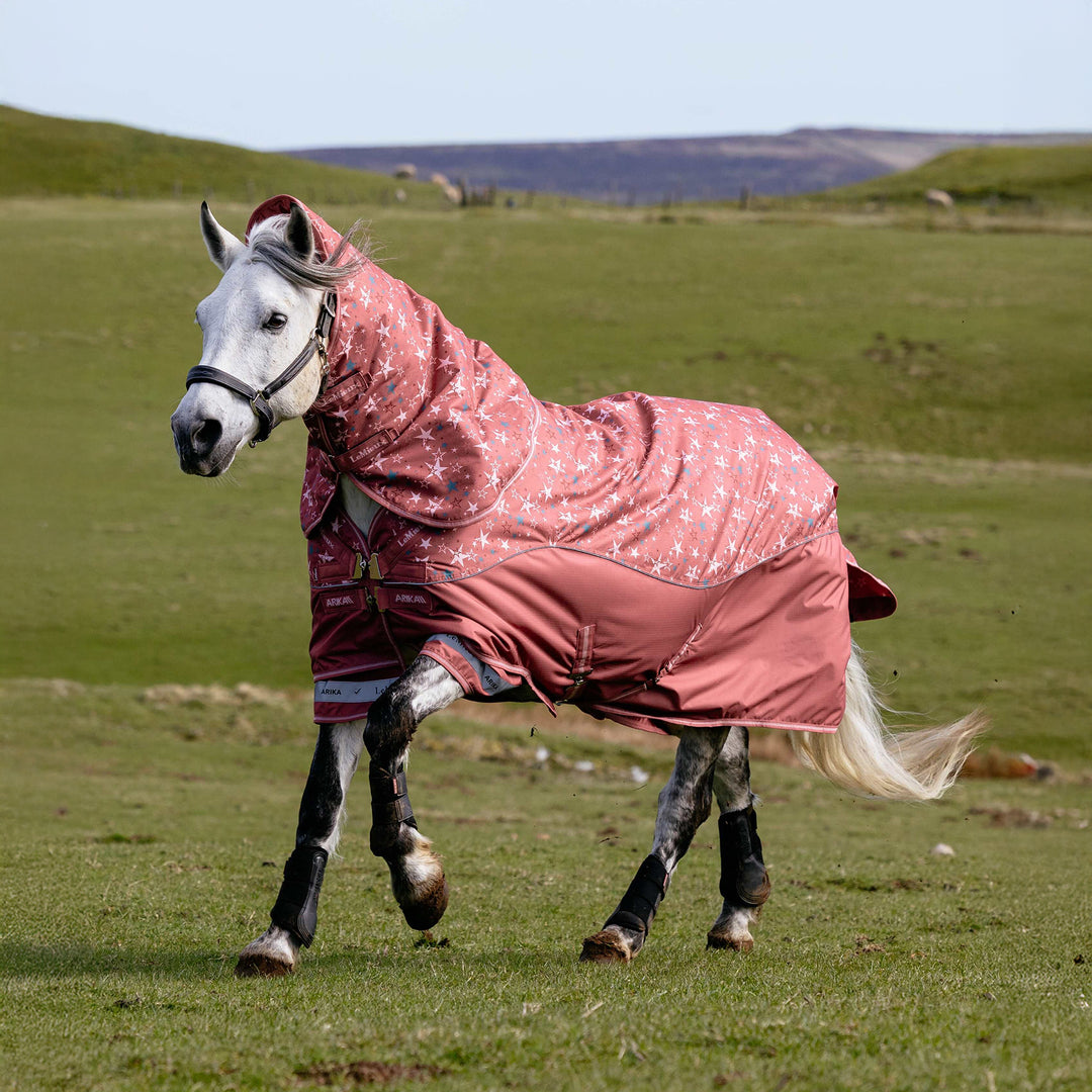 LeMieux Arika Star 100g Turnout Rug - Spiced Earth