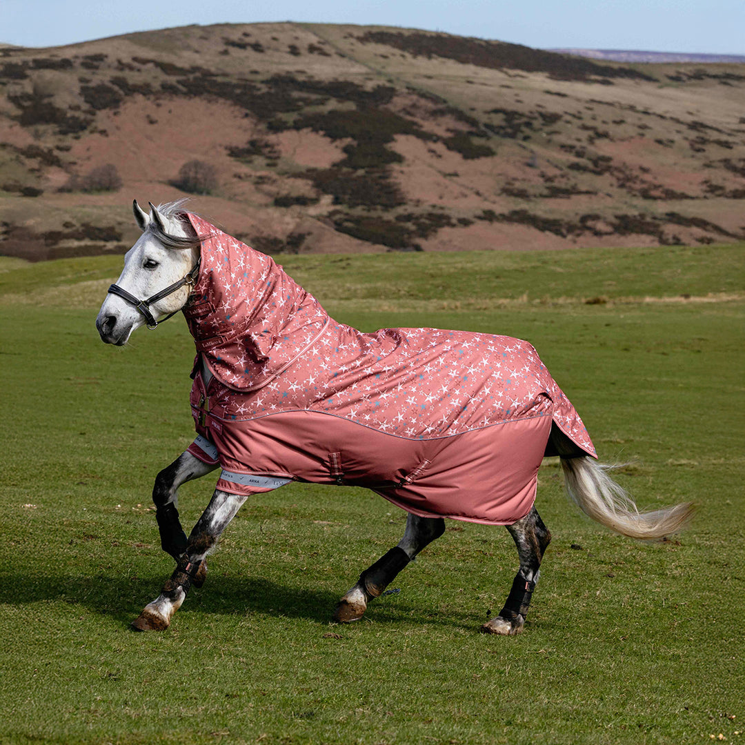 LeMieux Arika Star 200g Turnout Rug - Spiced Earth