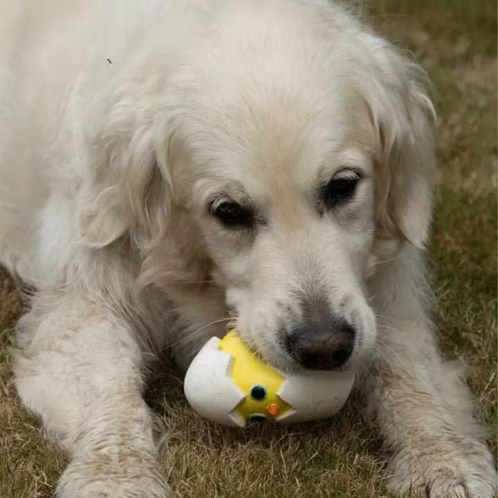 PetFace Buddies Kris the Cracked Egg Latex Dog Toy