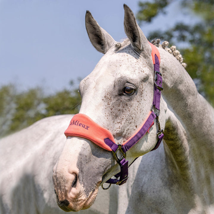 The LeMieux Vogue Fleece Headcollar with Leadrope in Papaya#Papaya