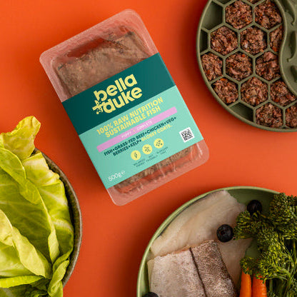 Bella & Duke Sustainable Fish Raw Puppy Food