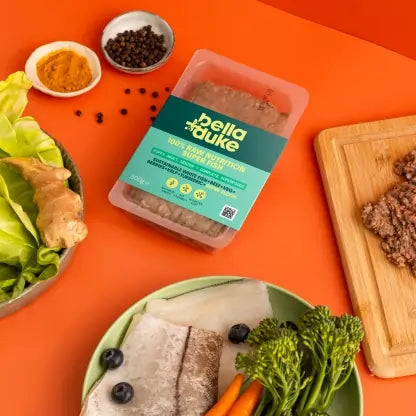 Bella & Duke Super Fish Raw Dog Food