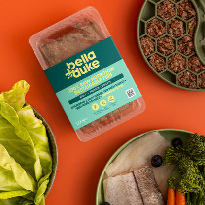 Bella & Duke Sustainable Fish Raw Dog Food