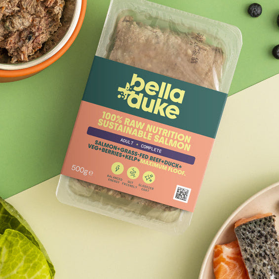 Bella & Duke Sustainable Salmon Raw Dog Food