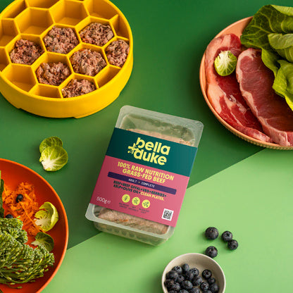 Bella & Duke Grass-Fed Beef Raw Dog Food