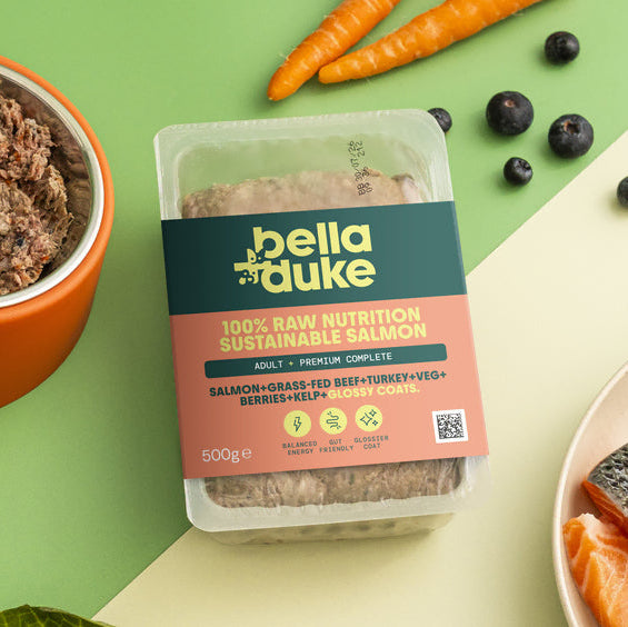 Bella & Duke Sustainable Salmon Raw Puppy Food