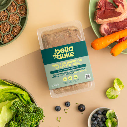 Bella & Duke Fresh Complete Lamb Puppy Food