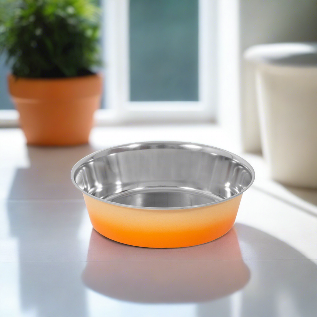 Smart Choice Ombre Stainless Steel Pet Bowl