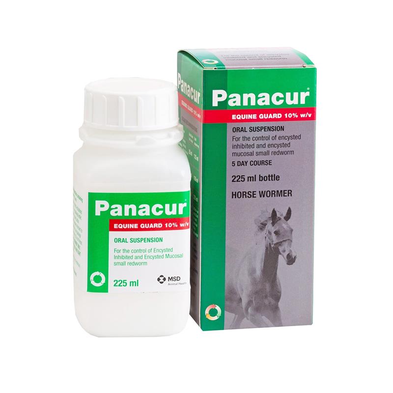 Panacur Equine Guard Original