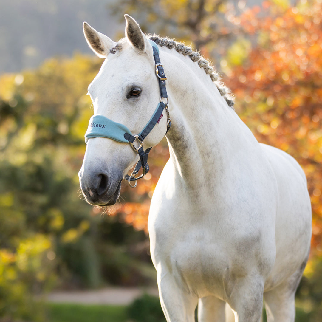 LeMieux Vogue Fleece Headcollar with Leadrope - Petrol