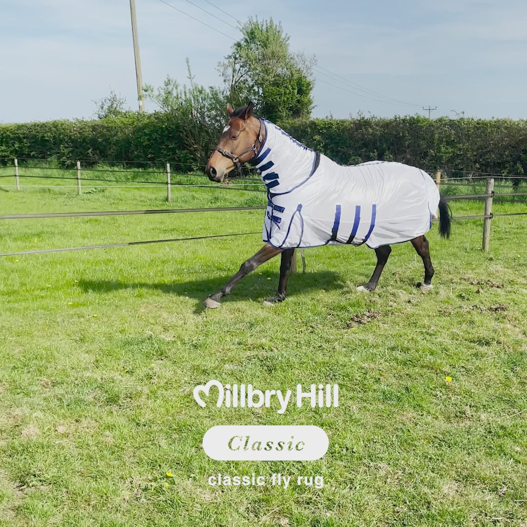 Millbry Hill Classic Fly Rug