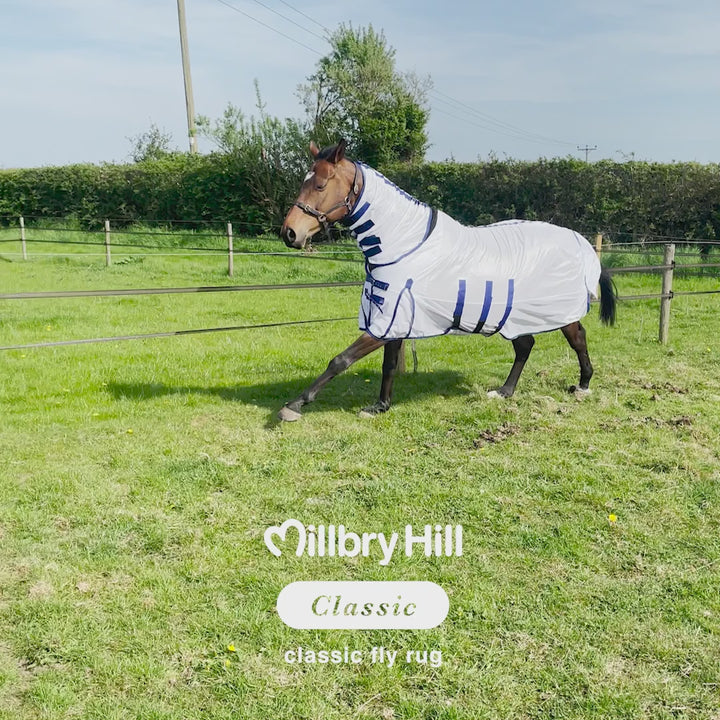 Millbry Hill Classic Fly Rug