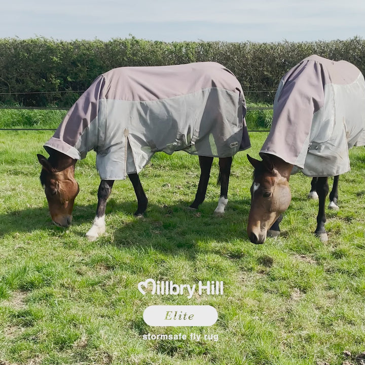 Millbry Hill Elite Stormsafe Waterproof Fly Rug