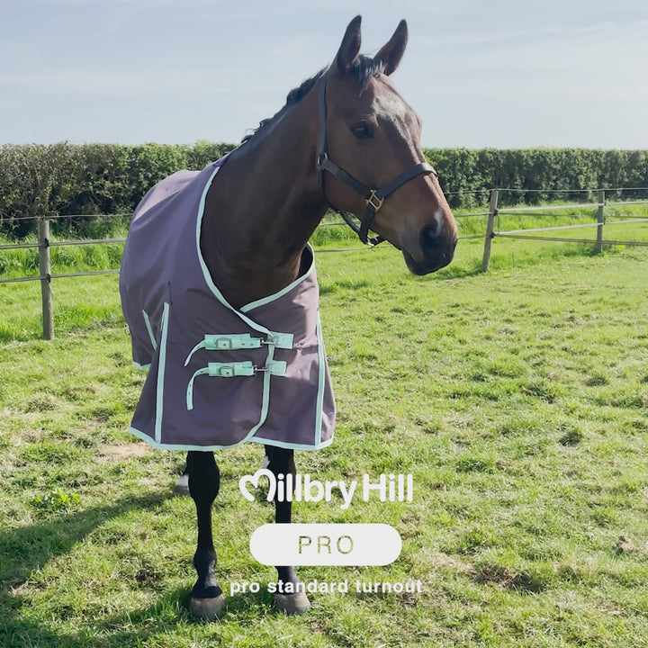 Millbry Hill 100g Pro Standard Turnout Rug