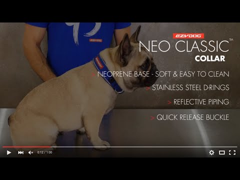 EzyDog Classic Neoprene Dog Collar