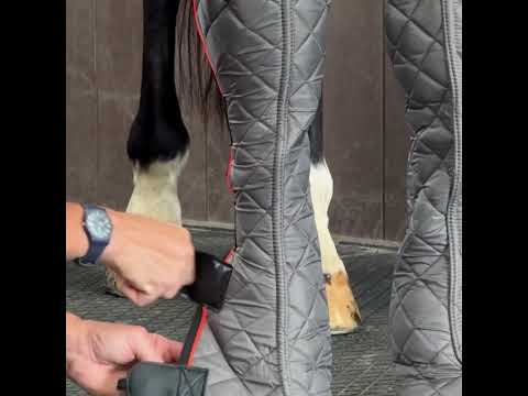 Equilibrium Fore & Knee Magnetic Chaps