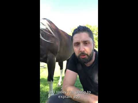 Thinline Grazing Muzzle