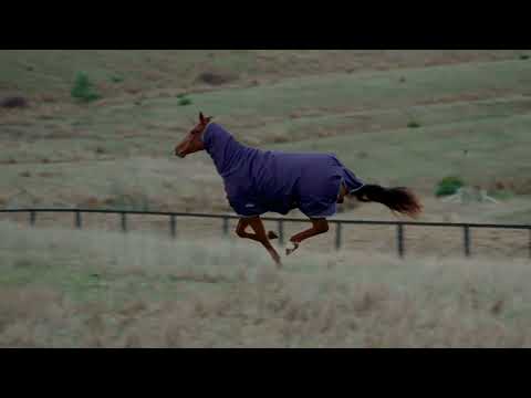 Weatherbeeta Comfitec Tyro 50g Combo Turnout