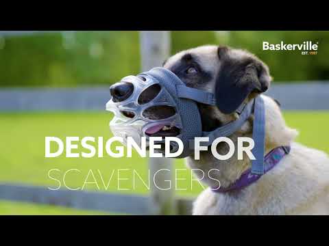 Baskerville Invisa Basket Muzzle