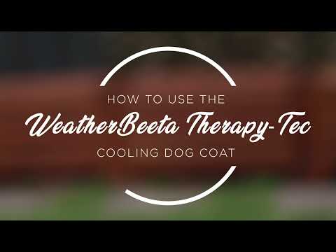 Weatherbeeta Therapy-Tec Cooling Dog Coat