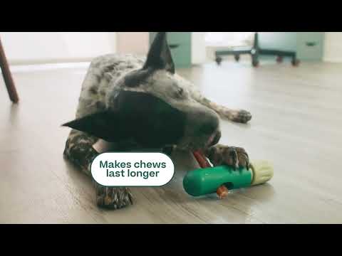 Woof BullySafe Dog Toy