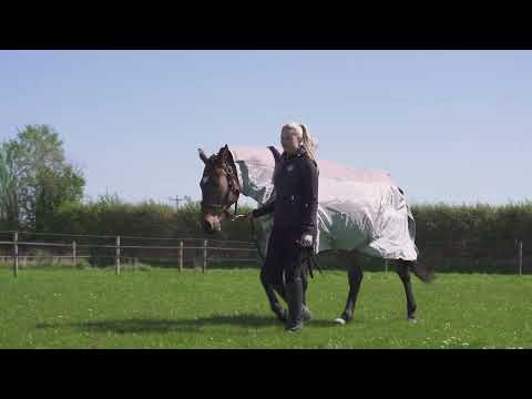 Millbry Hill Elite Stormsafe Waterproof Fly Rug