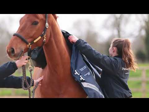 Premier Equine Stratus 600D Series 0g Turnout Rug with Classic Neck Cover