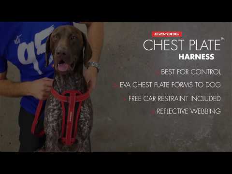 Ezydog Chest Plate Harness for Dogs