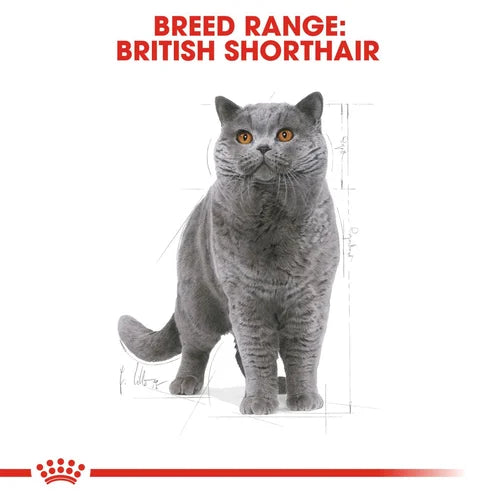 Royal Canin British Shorthair Dry Cat Food