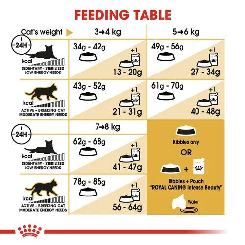 Royal Canin Ragdoll Adult Cat Dry Food