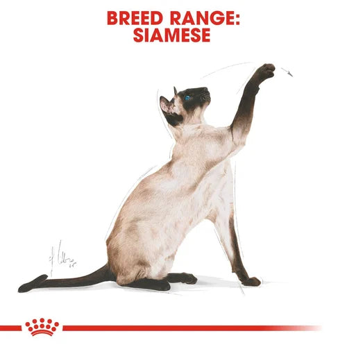 Royal Canin Siamese Complete Dry Cat Food