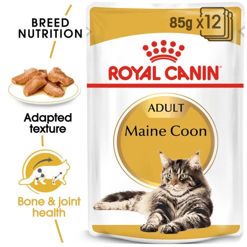 Royal Canin Maine Coon Cat Food Pouches in Gravy