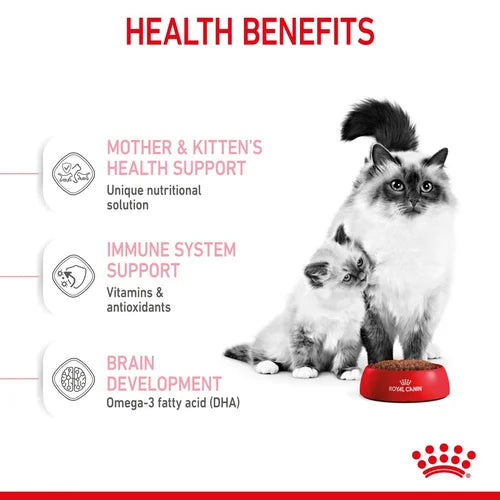 Royal canin baby top cat dry food