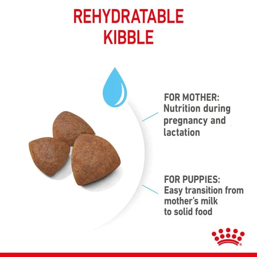 Royal Canin Starter Mother Babydog Medium Dry Pet Food For Dogs