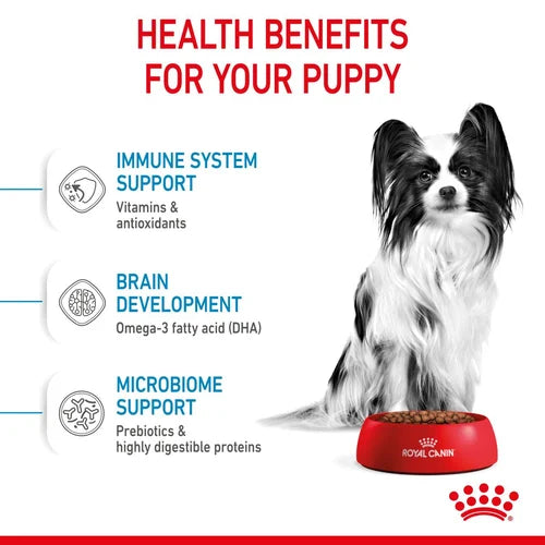 Royal Canin Puppy X-Small Dry Pet Food For Dogs