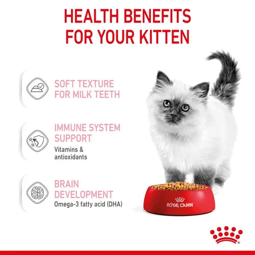 Royal Canin Kitten Chunks In Jelly Wet Pet Food For Cats