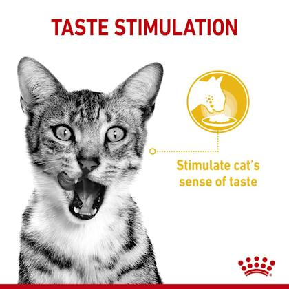 Royal Canin Sensory Smell Taste Feel In Gravy Wet Pet Food For Cats