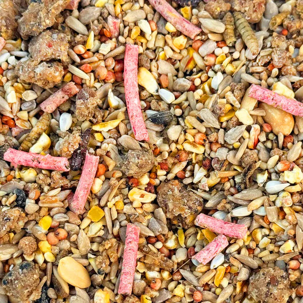 Winston Wilds Robin & Songbird Wild Seed Mix