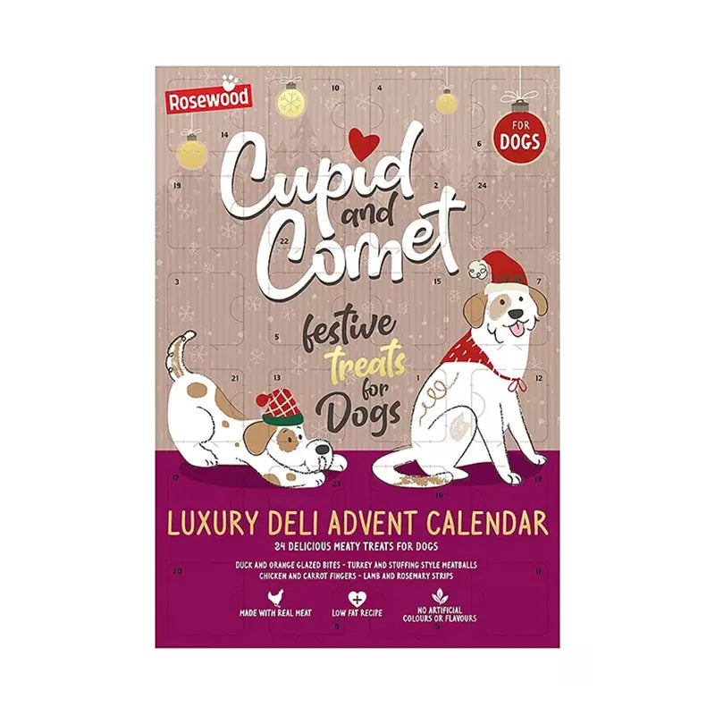 Rosewood Christmas Advent Calendar for Dogs
