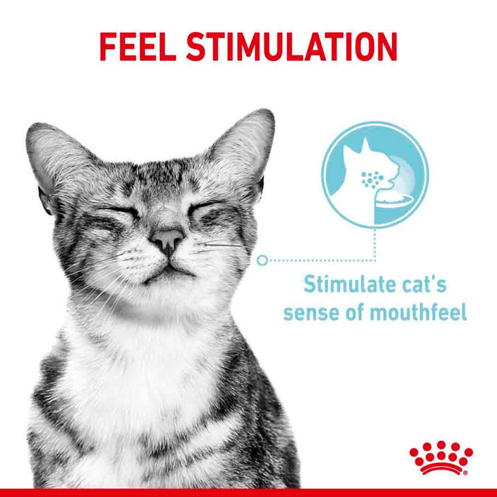 Royal Canin Sensory Feel Morsels In Gravy Wet Pet Food For Cats