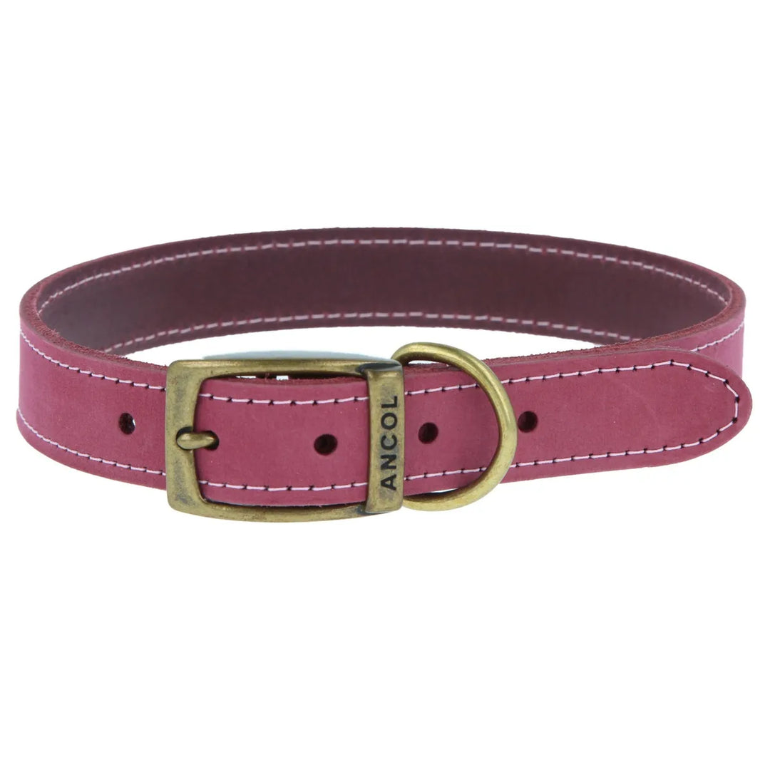 Ancol Timberwolf Leather Dog Collar#Pink