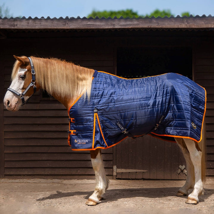 Gallop Trojan 100g Standard Neck Stable Rug