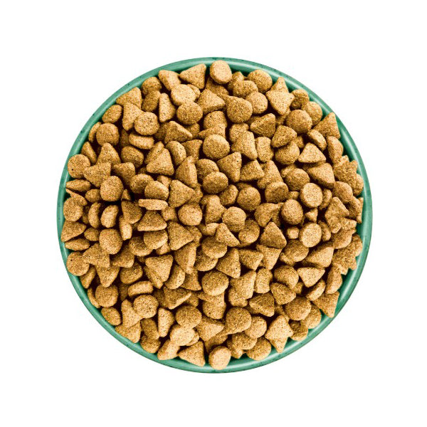 James Wellbeloved Grain Free Adult Dog Food with Fish Vegetables