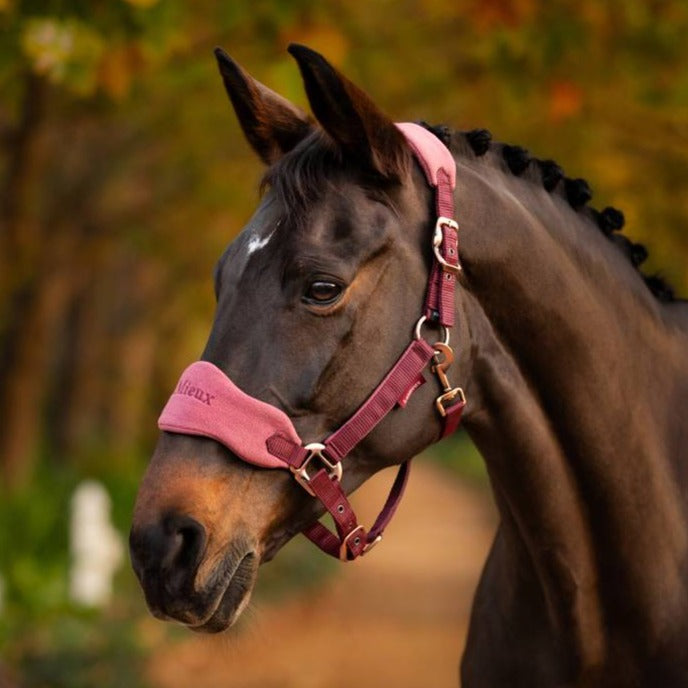 The LeMieux Vogue Fleece Headcollar with Leadrope in Orchid#Orchid